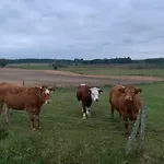 Gizycko-przerwanki Widok Na Mazury *