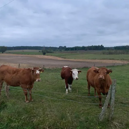 Gizycko-przerwanki Widok Na Mazury *