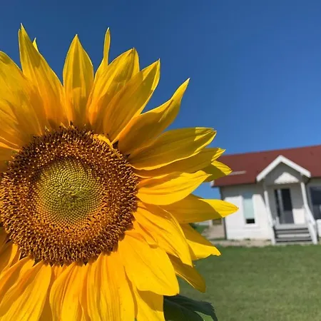 Gizycko-przerwanki Widok Na Mazury
