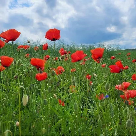בית נופש Gizycko-przerwanki Widok Na Mazury גיז'יצקו