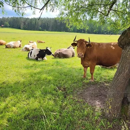 Prázdninový dům Gizycko-przerwanki Widok Na Mazury Giżycko