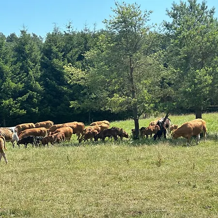 Gizycko-przerwanki Widok Na Mazury