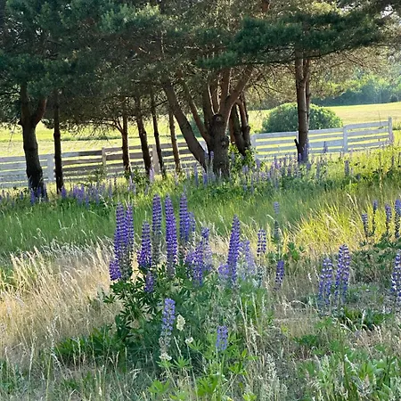 בית נופש Gizycko-przerwanki Widok Na Mazury *