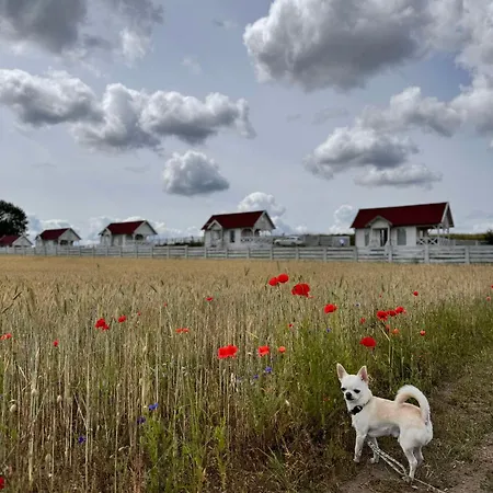 Holiday home Gizycko-przerwanki Widok Na Mazury Gizycko