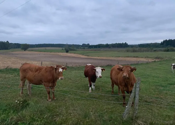 Giżycko-przerwanki Widok Na Mazury *