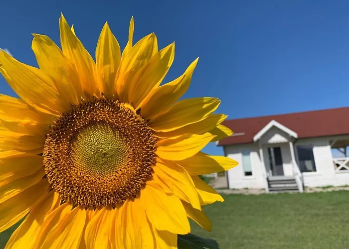 Giżycko-przerwanki Widok Na Mazury