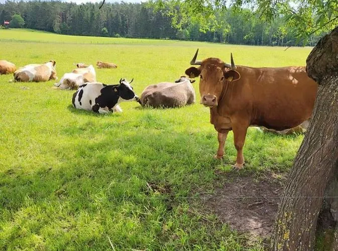Dom wakacyjny Giżycko-przerwanki Widok Na Mazury Giżycko