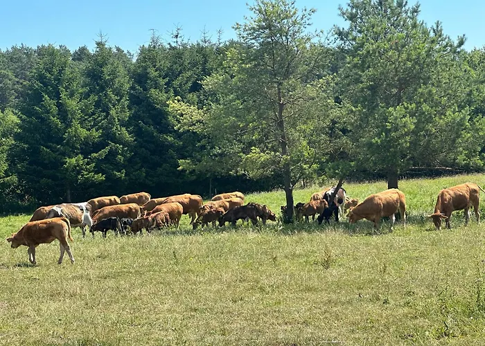 Giżycko-przerwanki Widok Na Mazury
