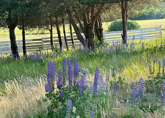 Dom wakacyjny Giżycko-przerwanki Widok Na Mazury *
